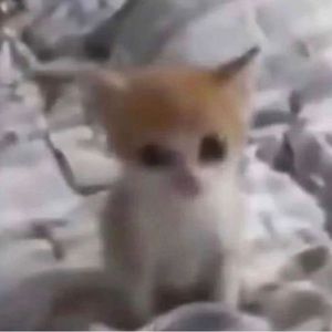 Meet your Posher, Mug